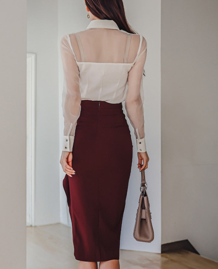 CM-SY082899 Women Elegant Seoul Style Collar Neckline Mesh Long Sleeve Blouse With Midi Skirt - Set
