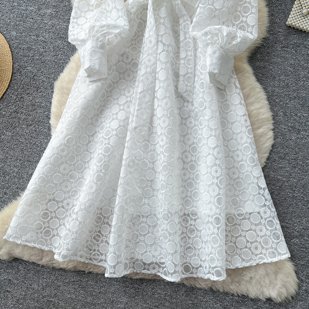 CM-DY065446 Women Elegant European Style Embroidery Stand Collar Long Sleeve High Waist A-Line Dress (Available in 2 colors)