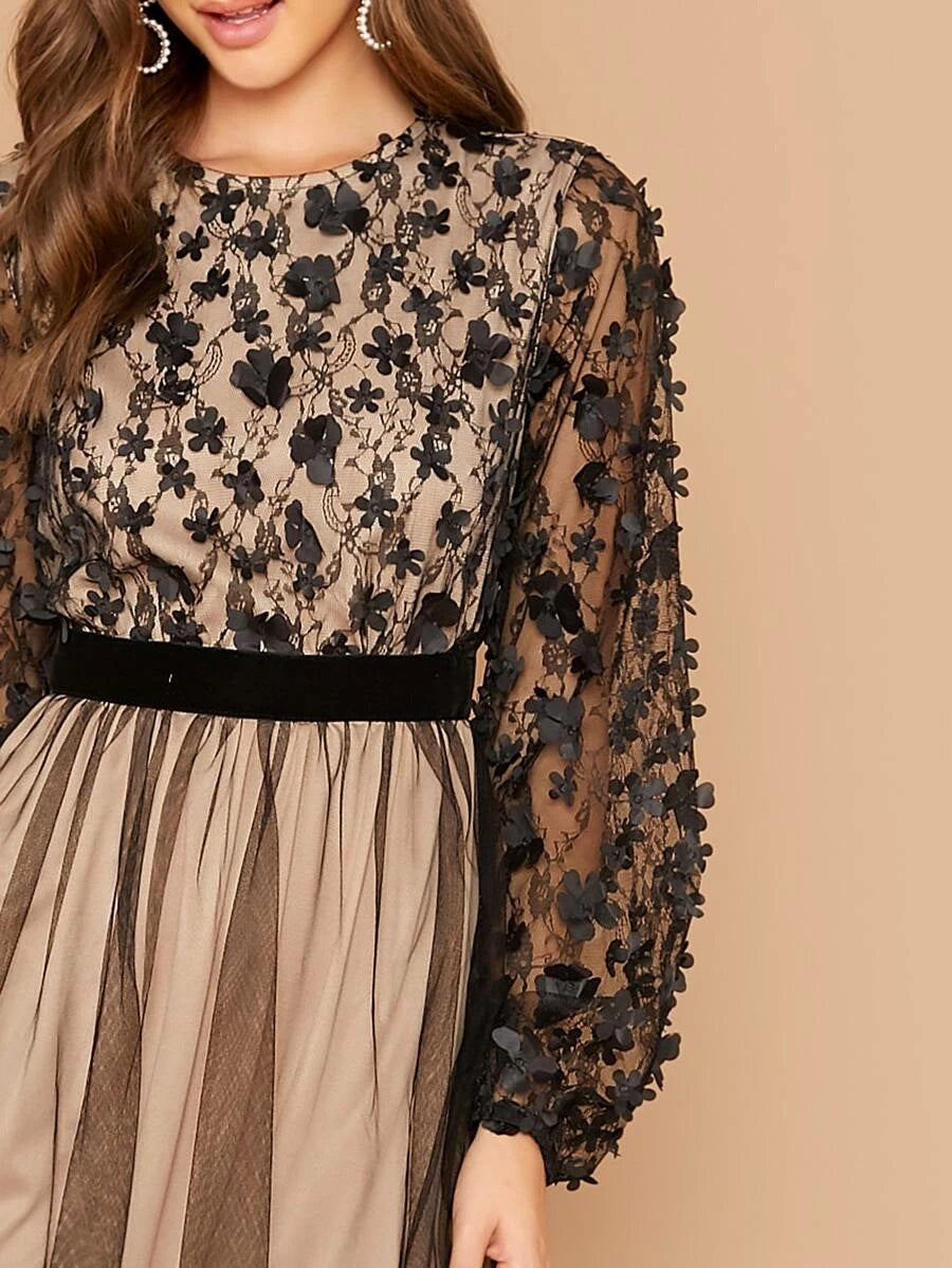 CM-DS816481 Women Elegant Seoul Style 3D Appliques Detail Mesh Overlay Flare Dress