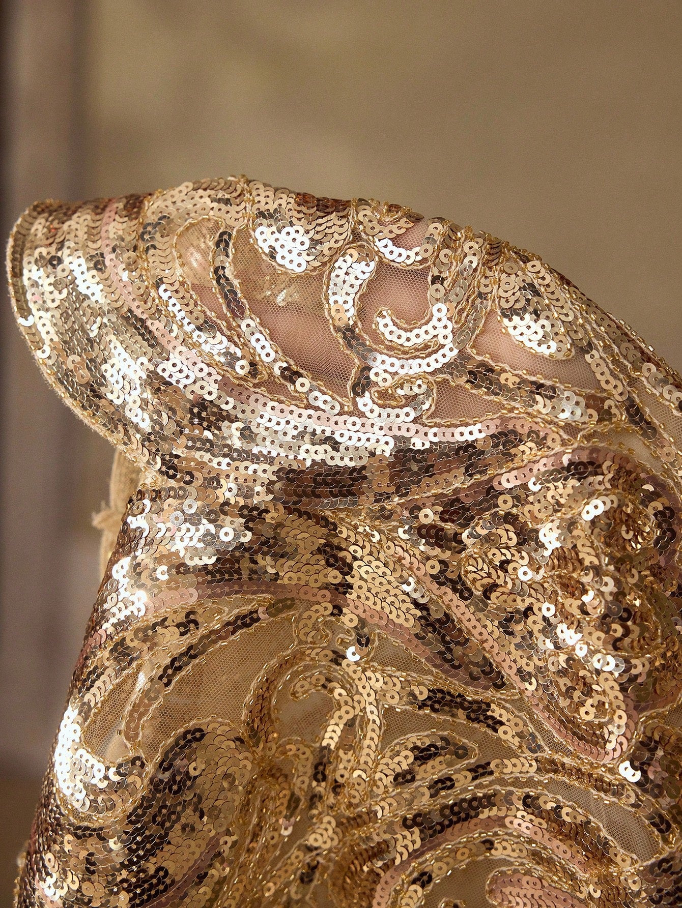 CM-TS615065 Women Elegant Seoul Style Round Neck Long Sleeve Sequins Embroidered Sheer Mesh Top - Gold