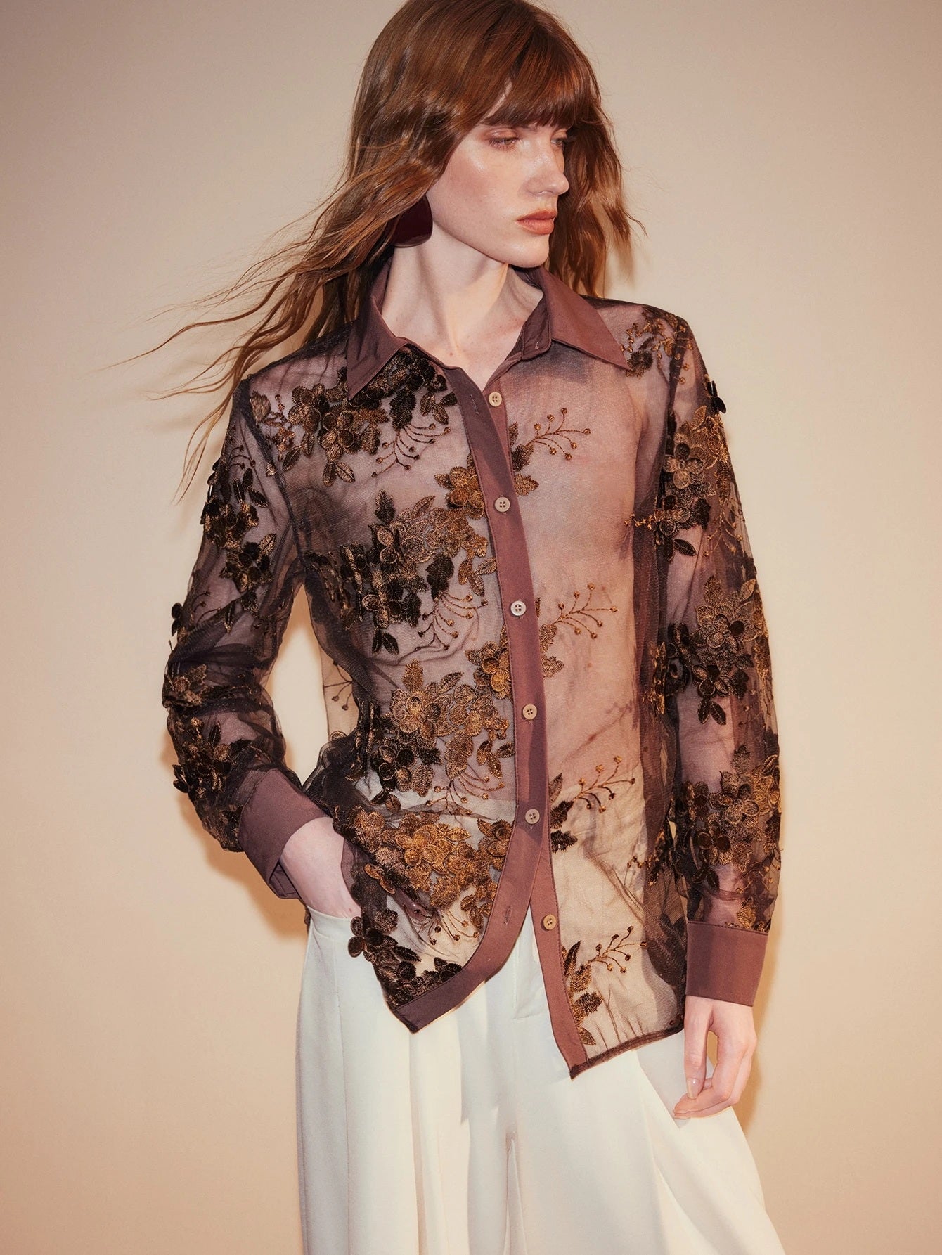 CM-TS347984 Women Elegant Seoul Style Collar Neckline Long Sleeve Lace Mesh Lapel Button Down Sheer Embroidery Blouse