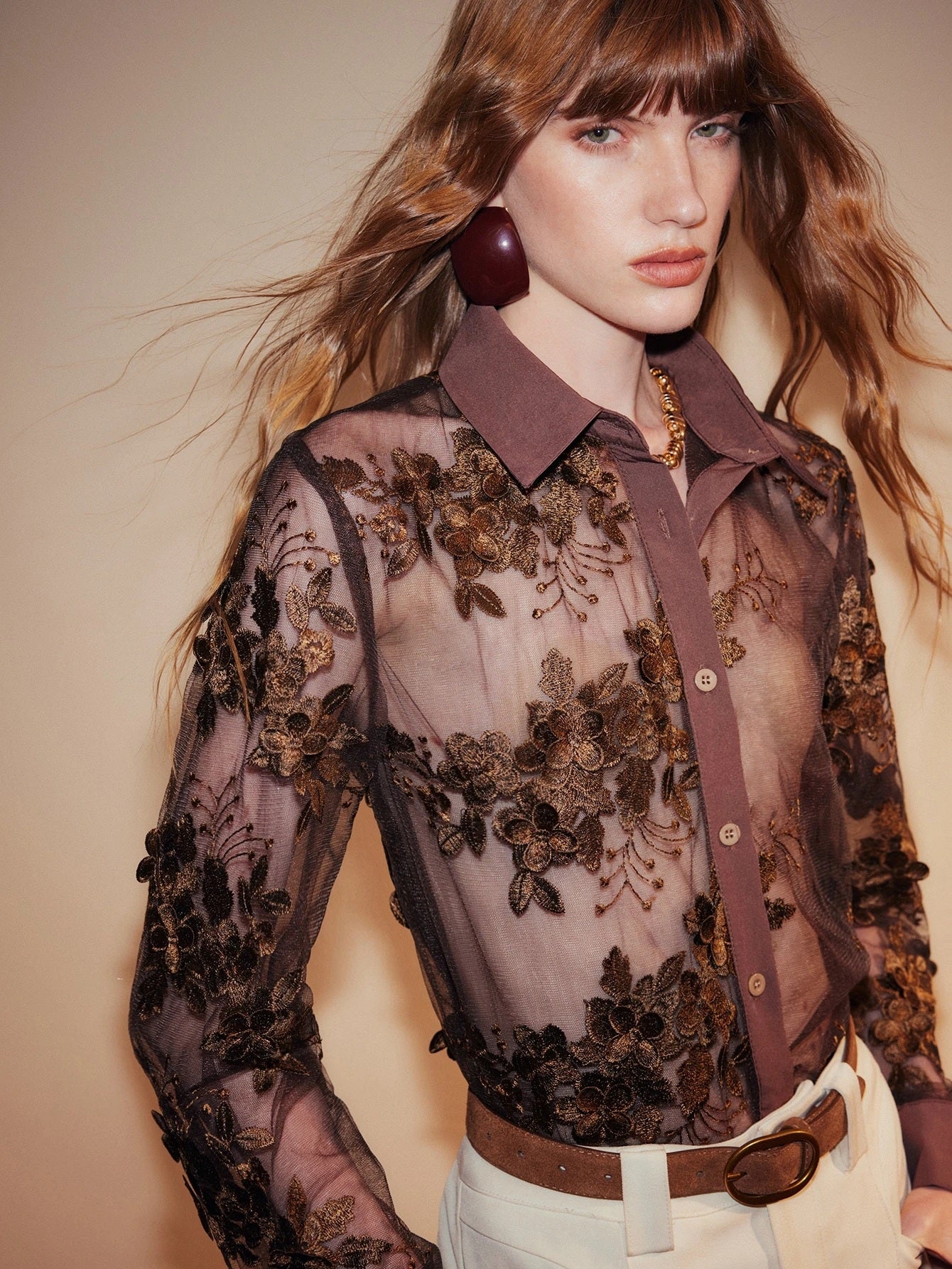 CM-TS347984 Women Elegant Seoul Style Collar Neckline Long Sleeve Lace Mesh Lapel Button Down Sheer Embroidery Blouse