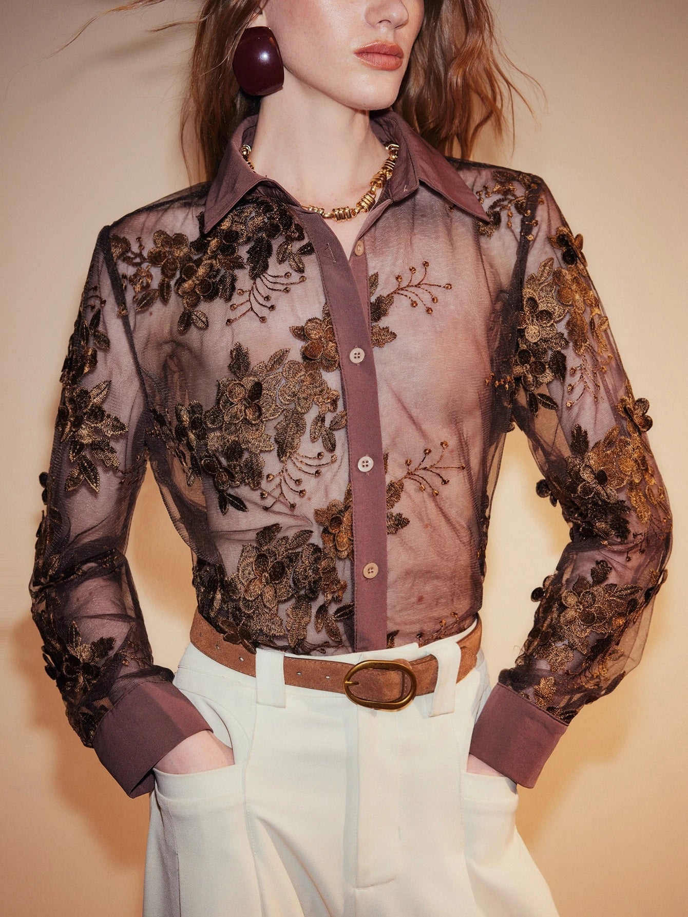 CM-TS347984 Women Elegant Seoul Style Collar Neckline Long Sleeve Lace Mesh Lapel Button Down Sheer Embroidery Blouse