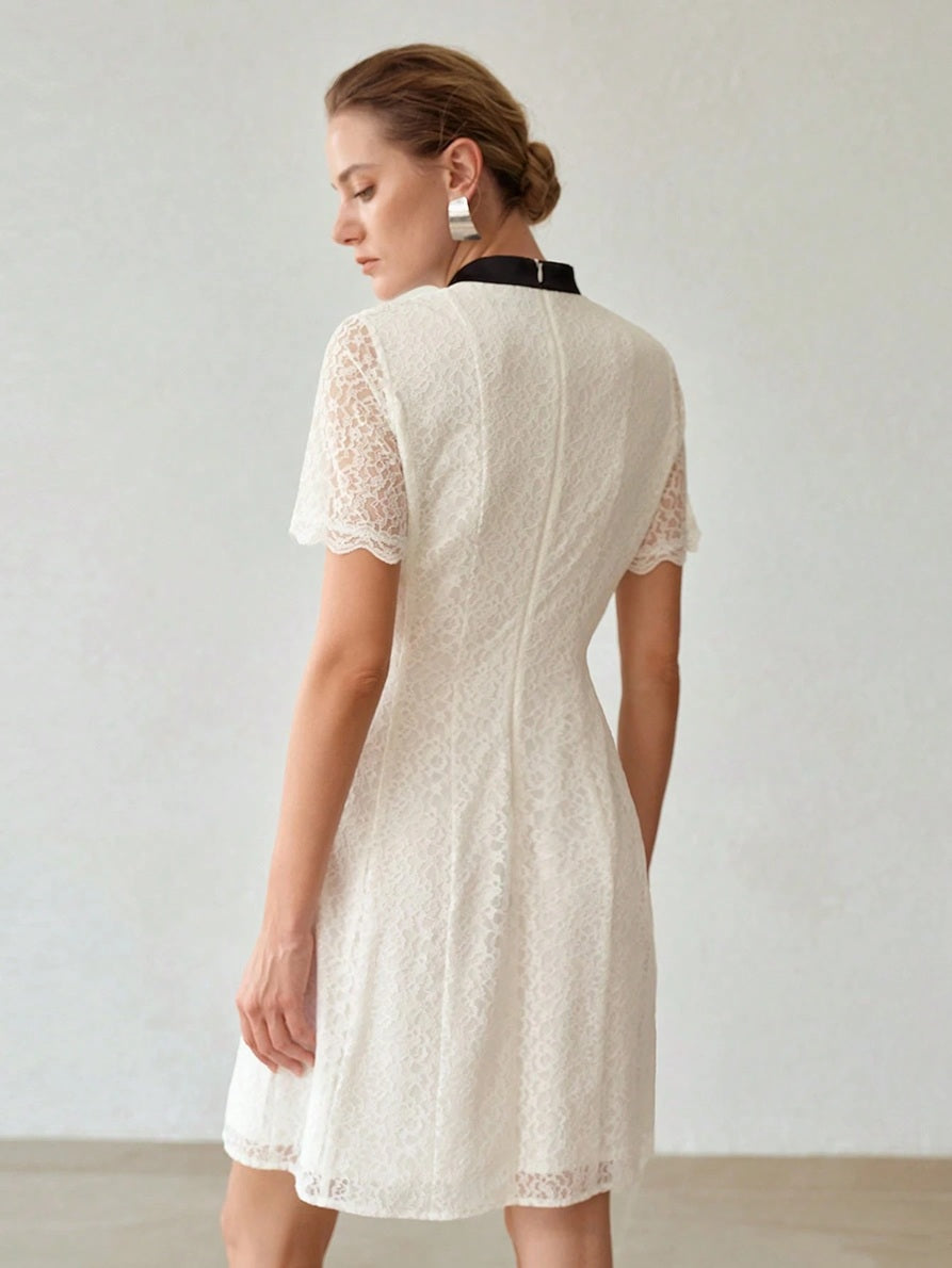 CM-DS167821 Women Elegant Seoul Style Stand Collar Short Sleeve Contrast Trim Lace Mini Dress