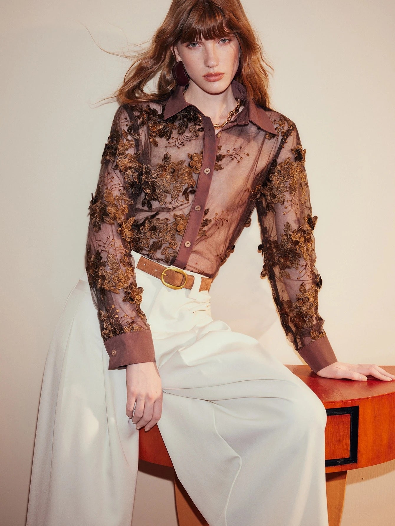 CM-TS347984 Women Elegant Seoul Style Collar Neckline Long Sleeve Lace Mesh Lapel Button Down Sheer Embroidery Blouse