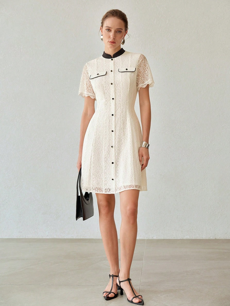 CM-DS167821 Women Elegant Seoul Style Stand Collar Short Sleeve Contrast Trim Lace Mini Dress