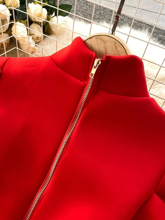 CM-DT523748 Women Elegant Seoul Style Stand-Up Collar Long Sleeve Flared Hem A-Line Short Dress - Red