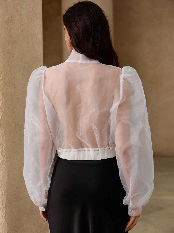 CM-TS713635 Women Elegant Seoul Style Tie Neck Puff Sleeve Organza Sheer Bowknot Blouse - White