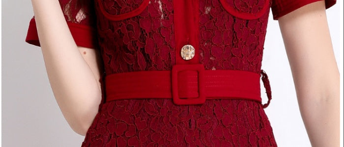 CM-DY045861 Women Elegant European Style Lapel Neckline Short Sleeve High Waist A-Line Dress With Belt - Dark Red
