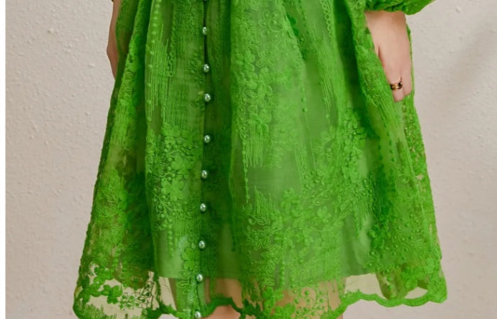 CM-DY050232 Women Elegant European Style Embroidery V-Neck Lantern Sleeve Short Dress - Green