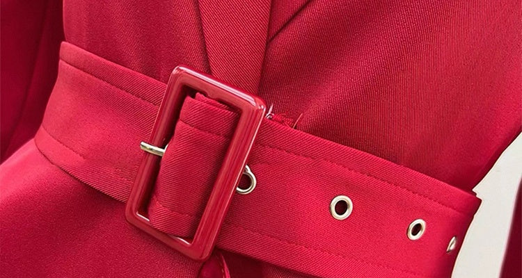 CM-DY055098 Women Elegant European Style Suit Collar Long Sleeve A-Line Mid-Length Dress - Red