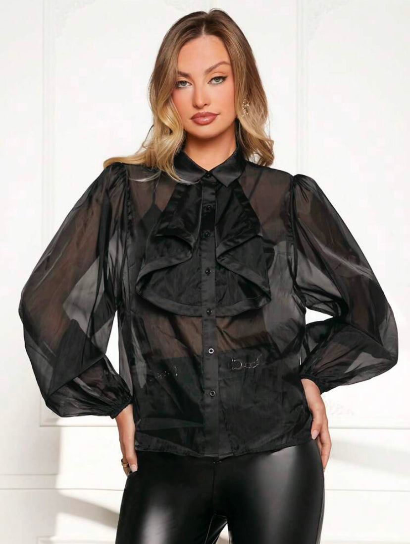 CM-TS711191 Women Elegant Seoul Style Collar Lantern Sleeve Organza Sheer Shirt - Black