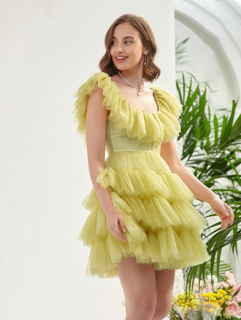 CM-DS262971 Women Elegant Seoul Style Sleeveless Ruffle Trim Mesh Overlay Dress