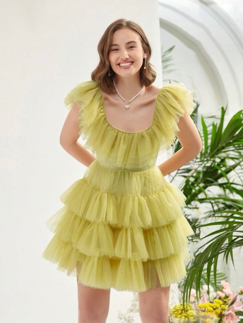 CM-DS262971 Women Elegant Seoul Style Sleeveless Ruffle Trim Mesh Overlay Dress
