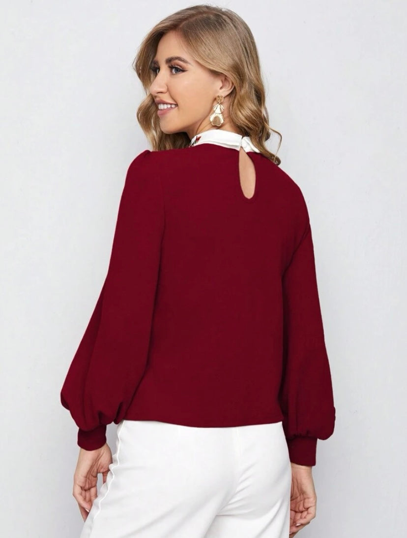 CM-TS947927 Women Casual Seoul Style Contrast Collar Lantern Sleeve Embroidery Floral Top